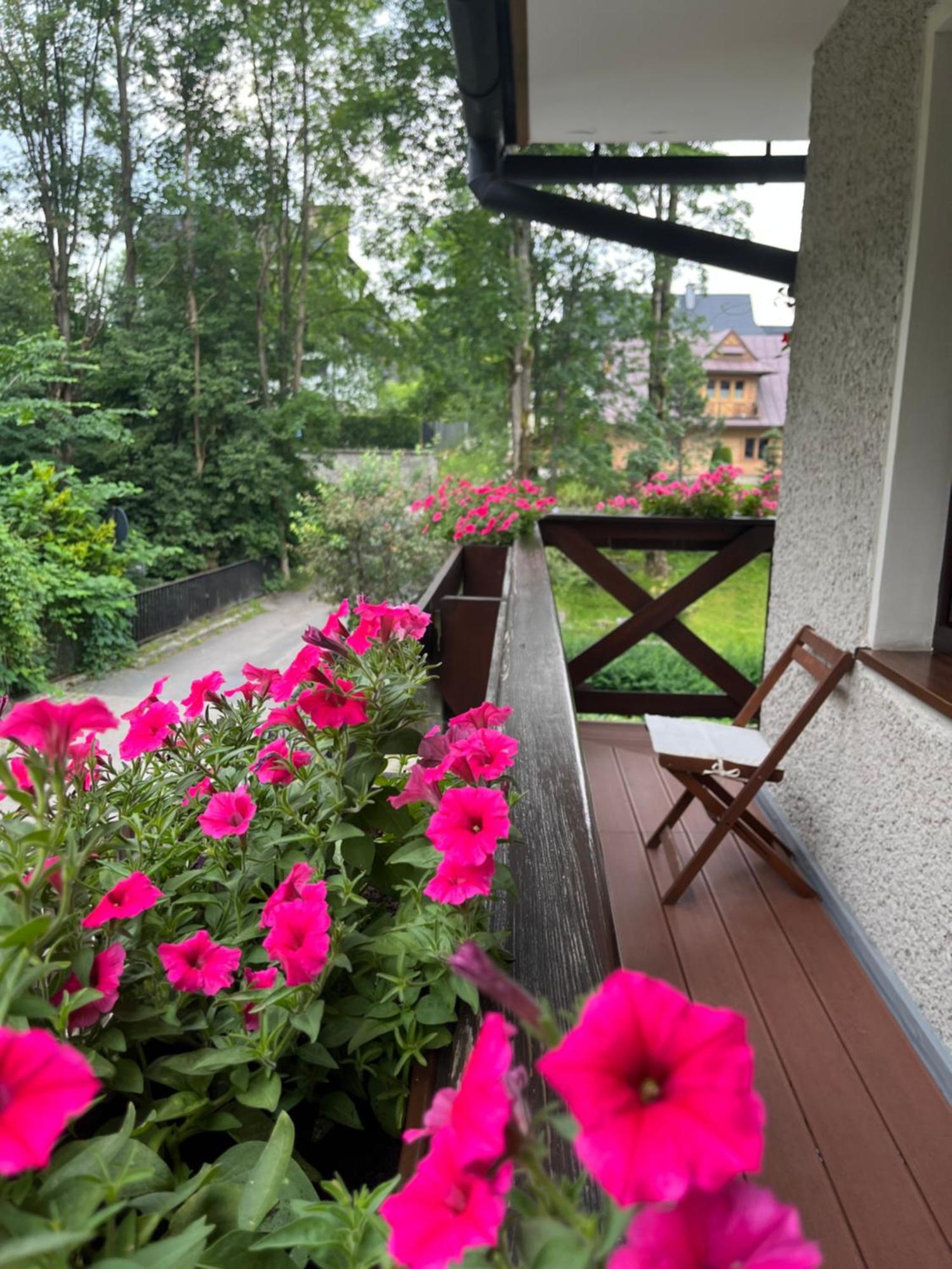 Marina Zakopane Bed & Breakfast Ruang foto